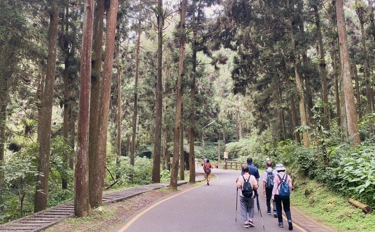 代售溪頭自然教育園區門票